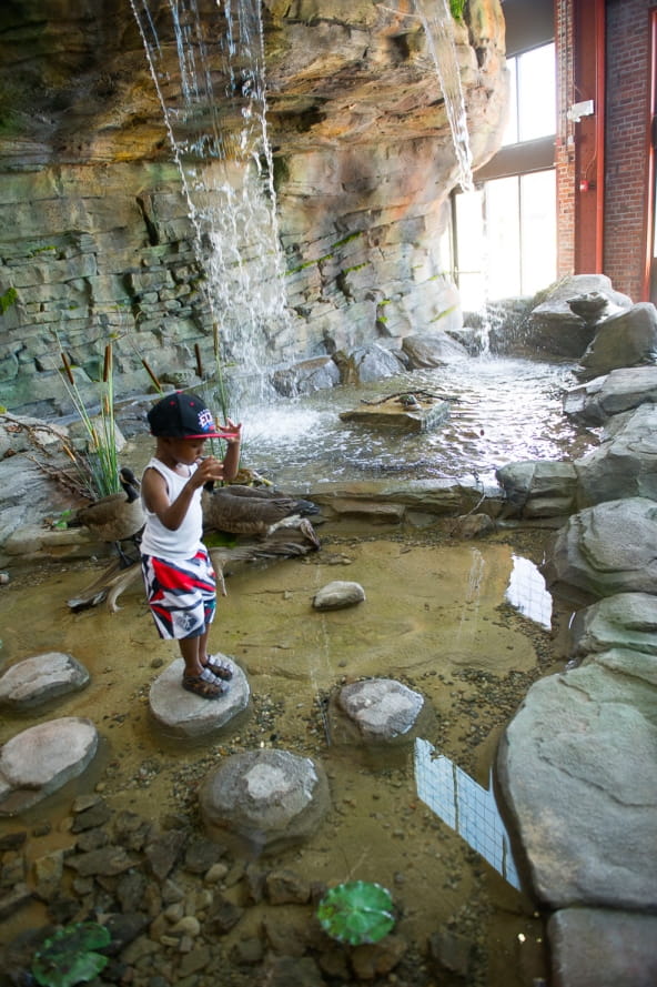 young boy stands on rock in front of Outdoor Adventure Center waterfall