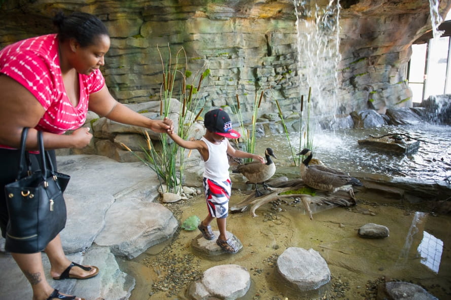 mom helps young boy cross rocks in pond at bottom of Outdoor Adventure Center waterfall