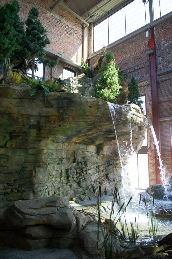 Outdoor Adventure Center waterfall, view from the side with trees and elk at top