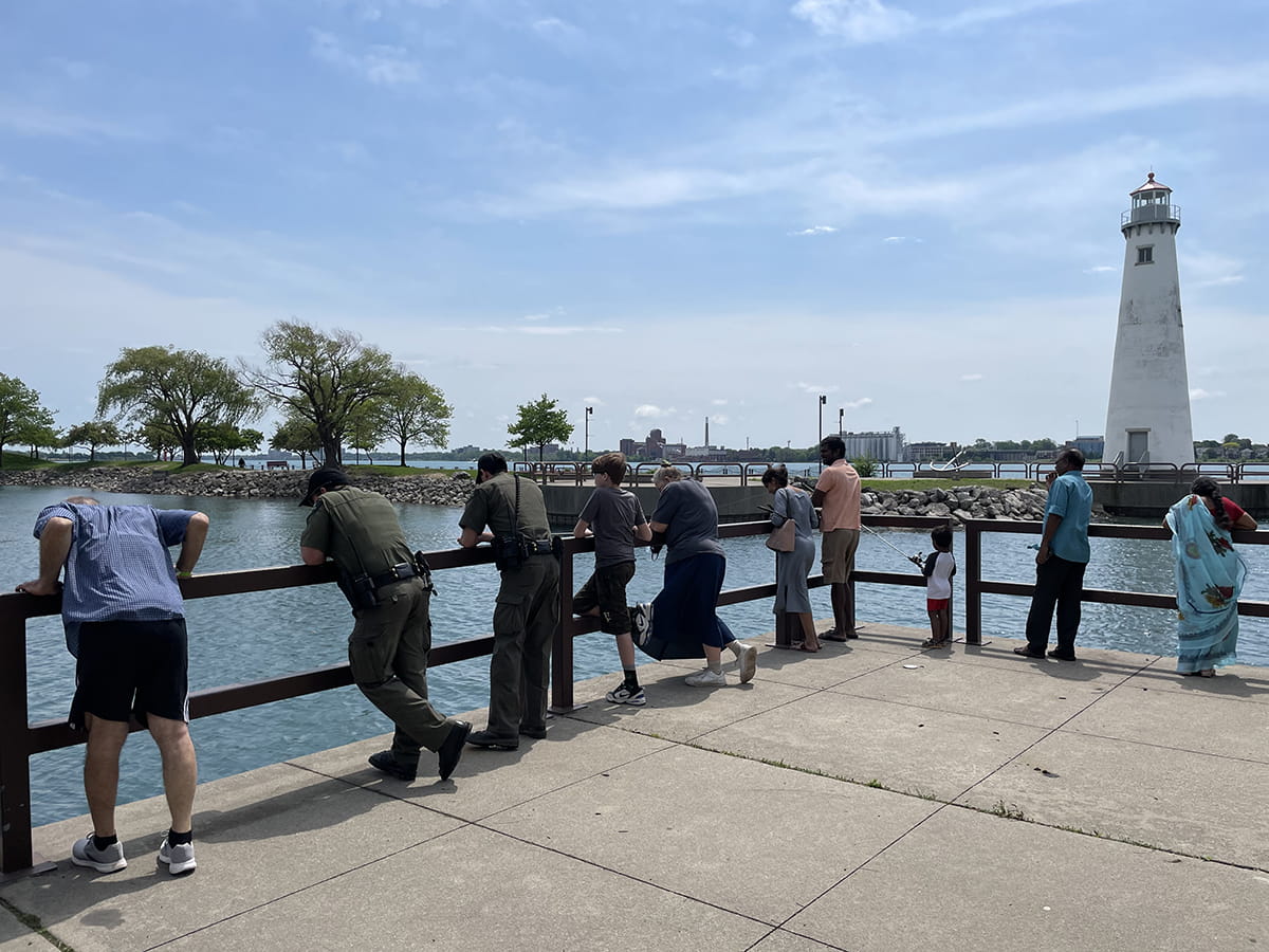 group of people on pier looking over rail into water