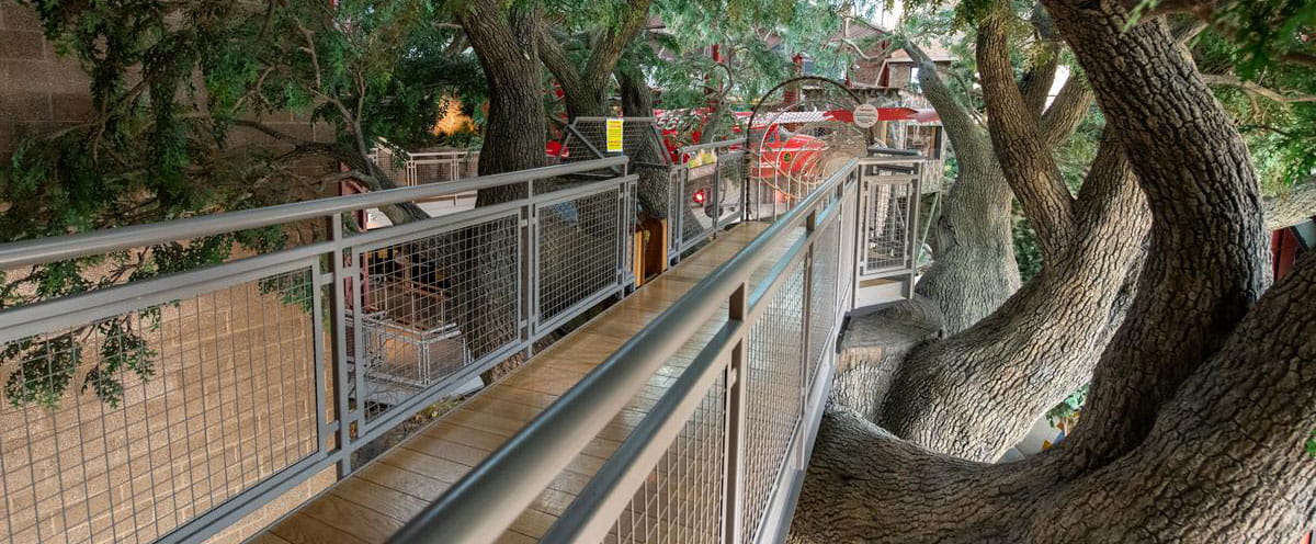 The bridge and big tree displays at the OAC