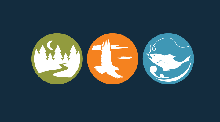 OAC graphic