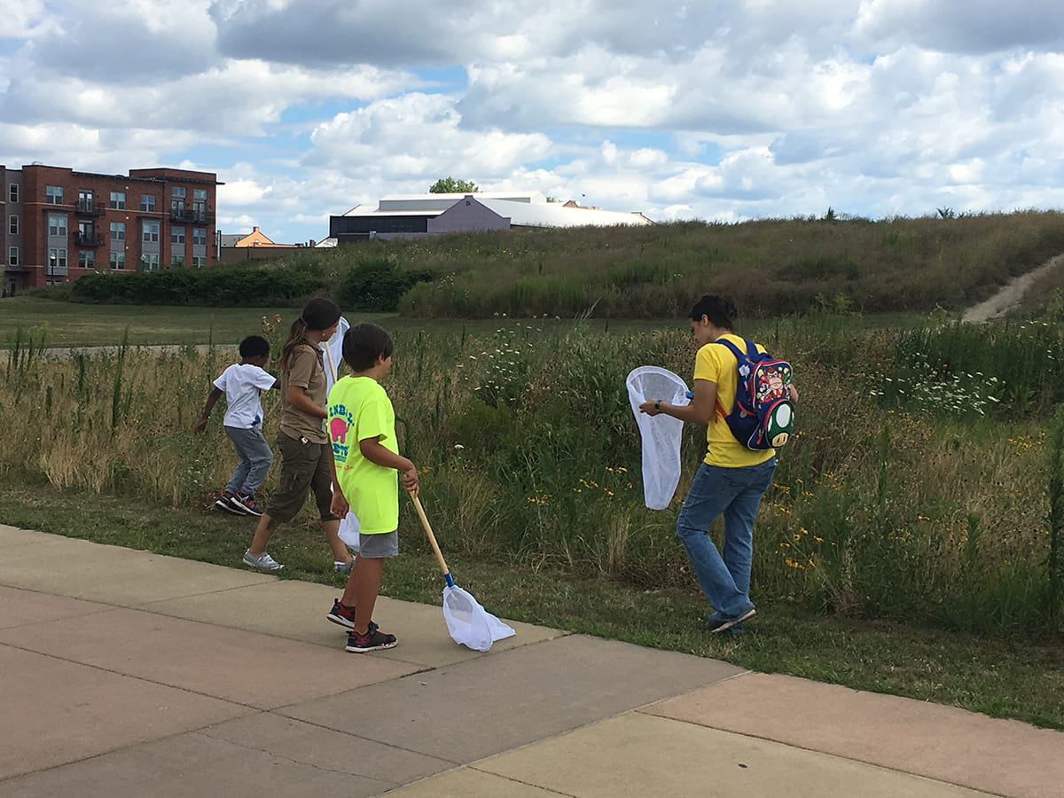 Group of kids with insect nets near urban field
