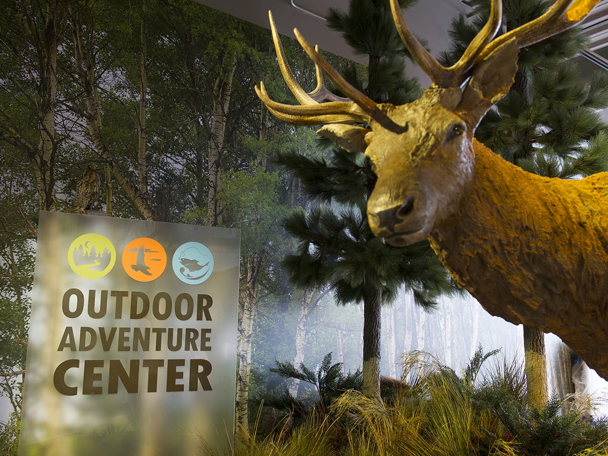 Outdoor Adventure Center sign next to taxidermy elk