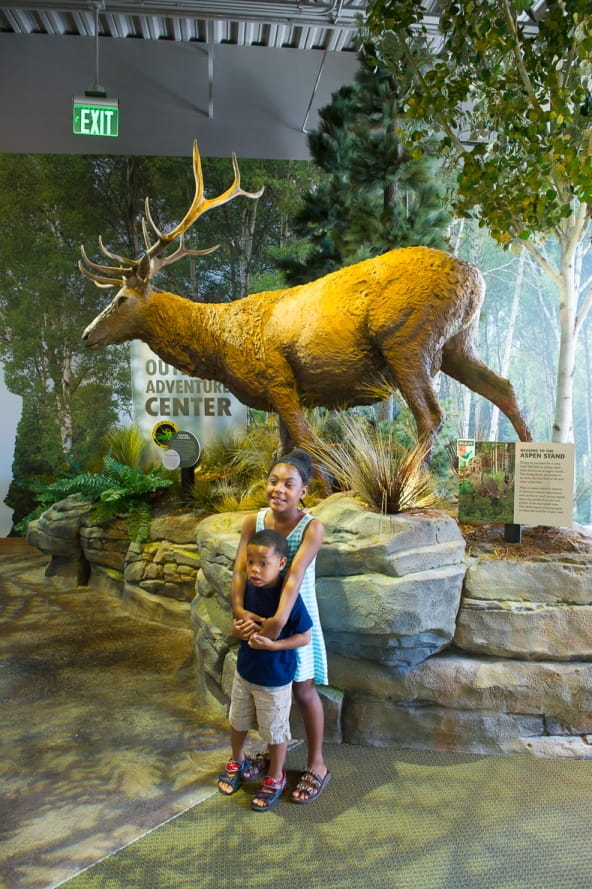 Girl and boy stand in front of elk in Outdoor Adventure Center