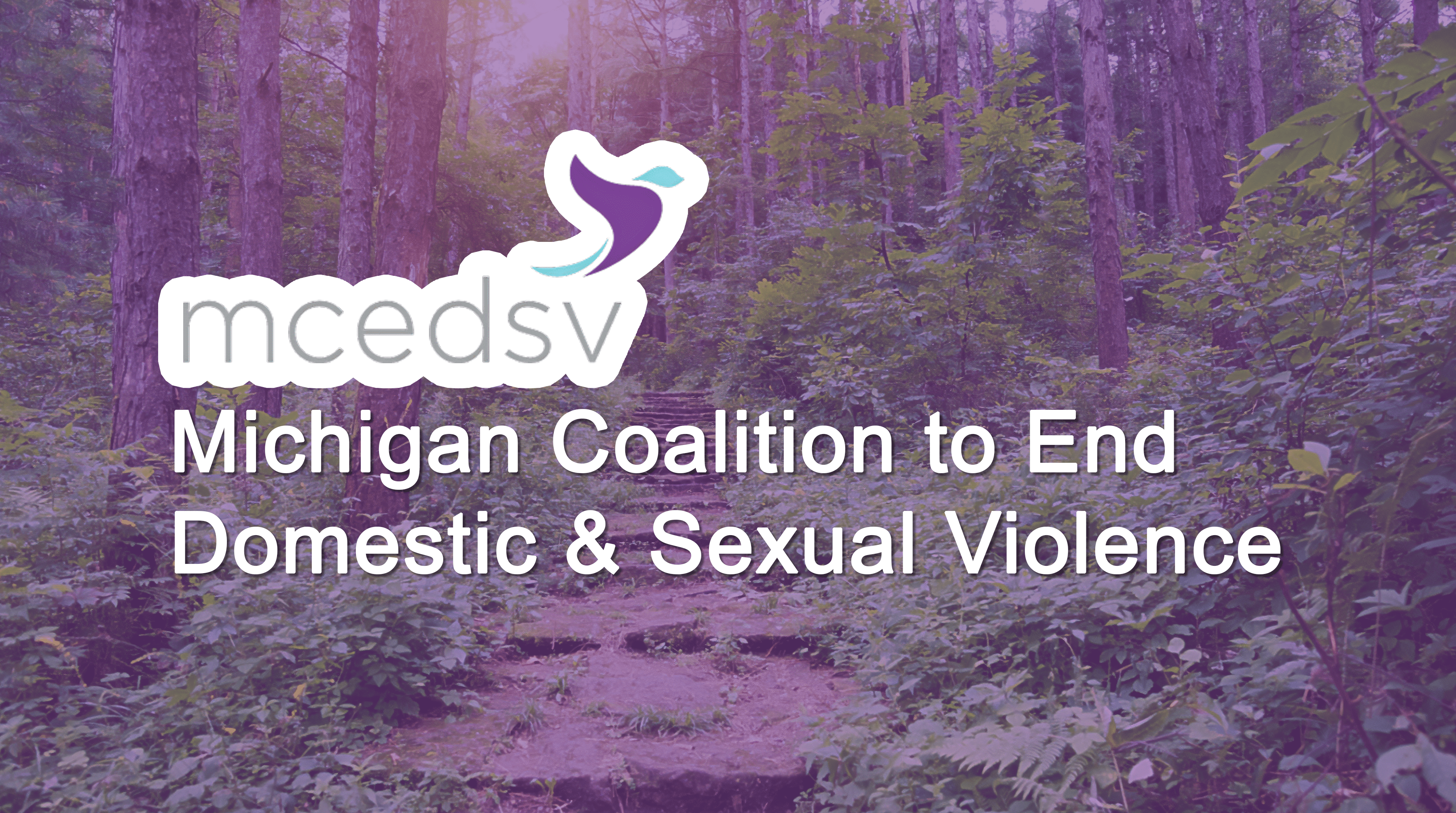 Michigan Coalition to End Domestic Sexual Violence