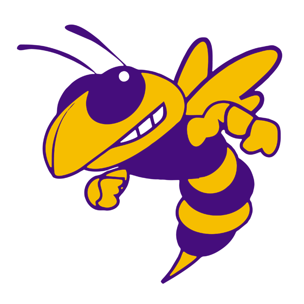 Greenville_YellowJacket_big