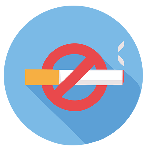 Do not Smoke Icon