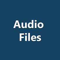 OK2SAY Audio PSA button