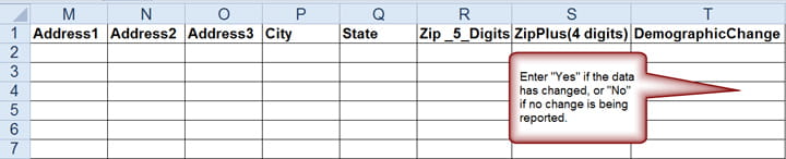 report example