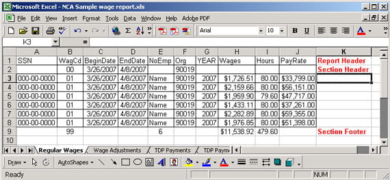 report example
