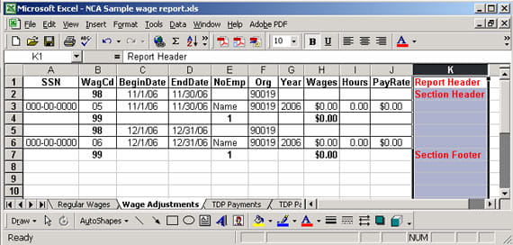 report example