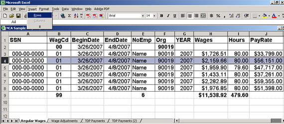 report example