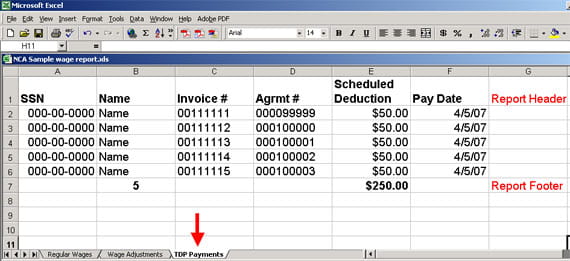 report example