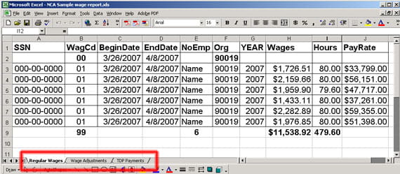 report example