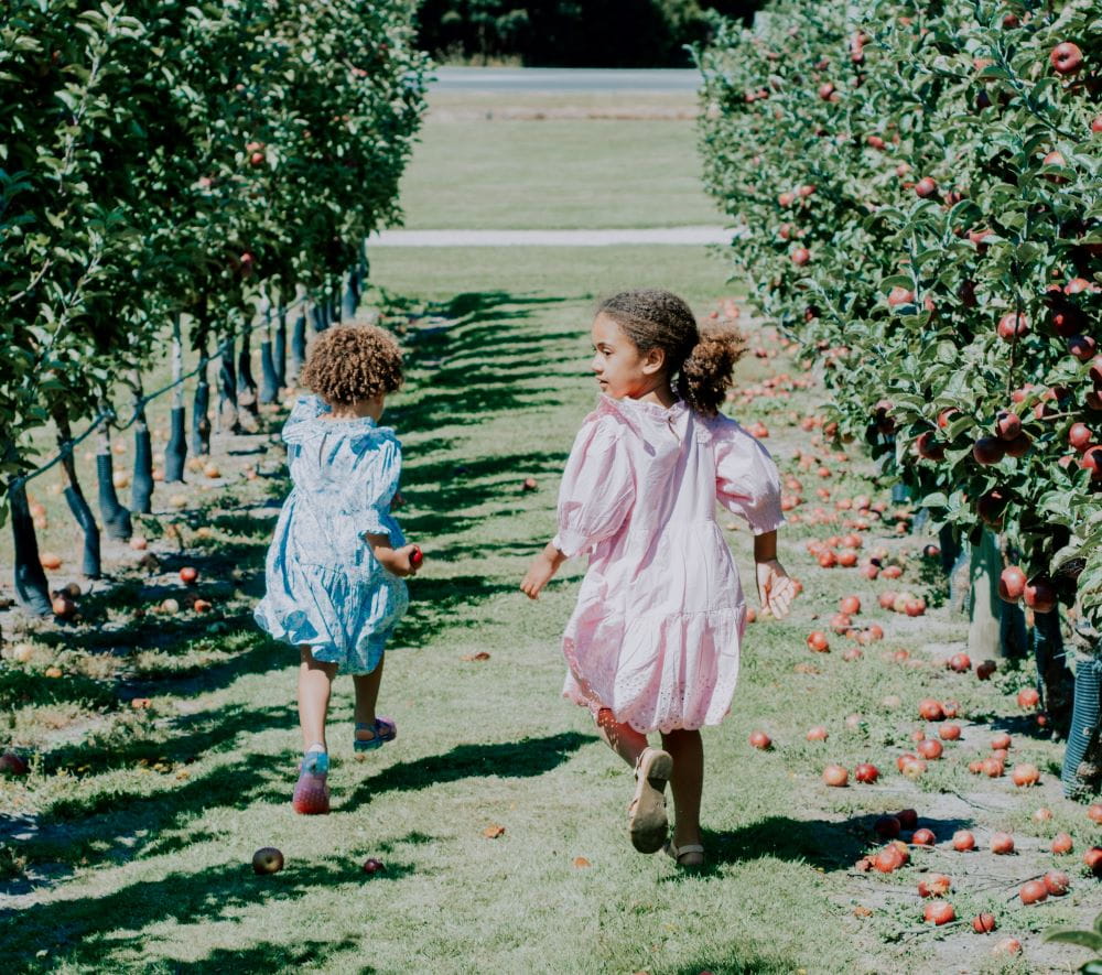 Two children running and playing in an apple orchard on a sunny fall day