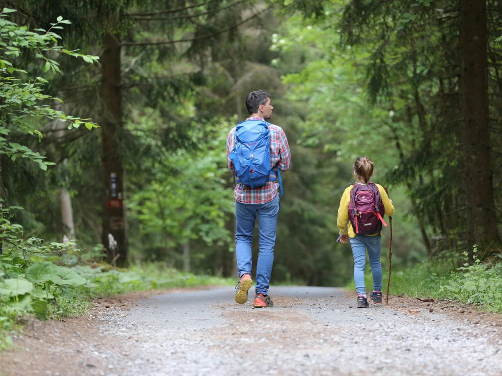 An adult and child both wearing hiking backpacks, walking through a forest on a gravel path.