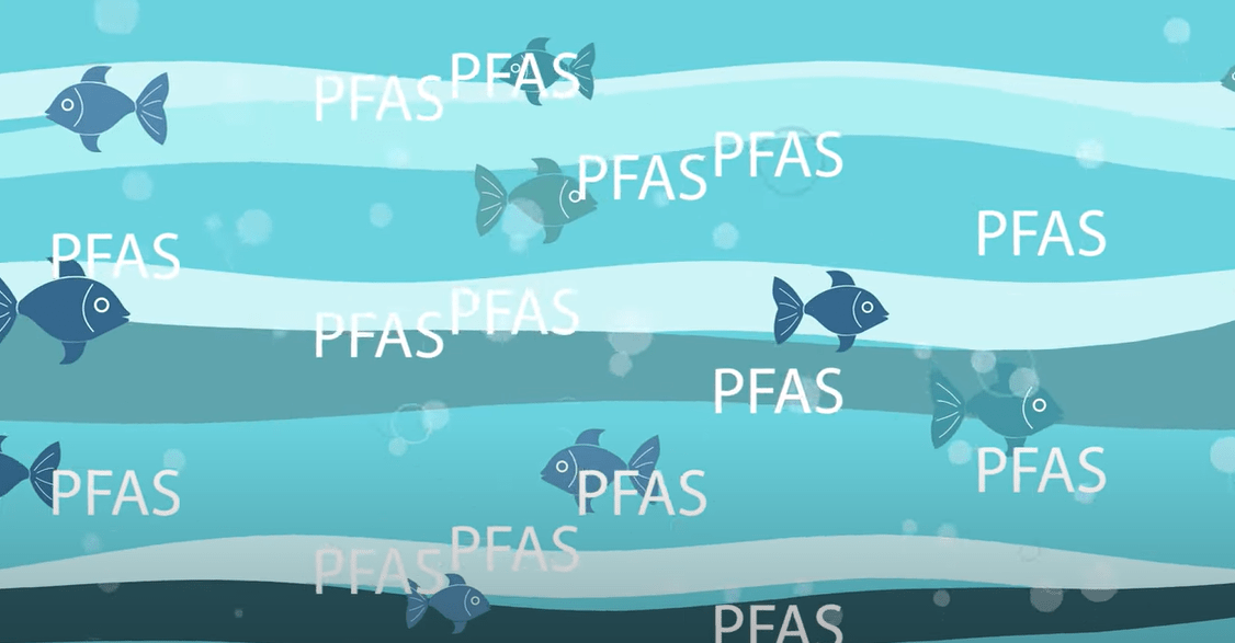 PFAS traveling through water with fish swimming in it