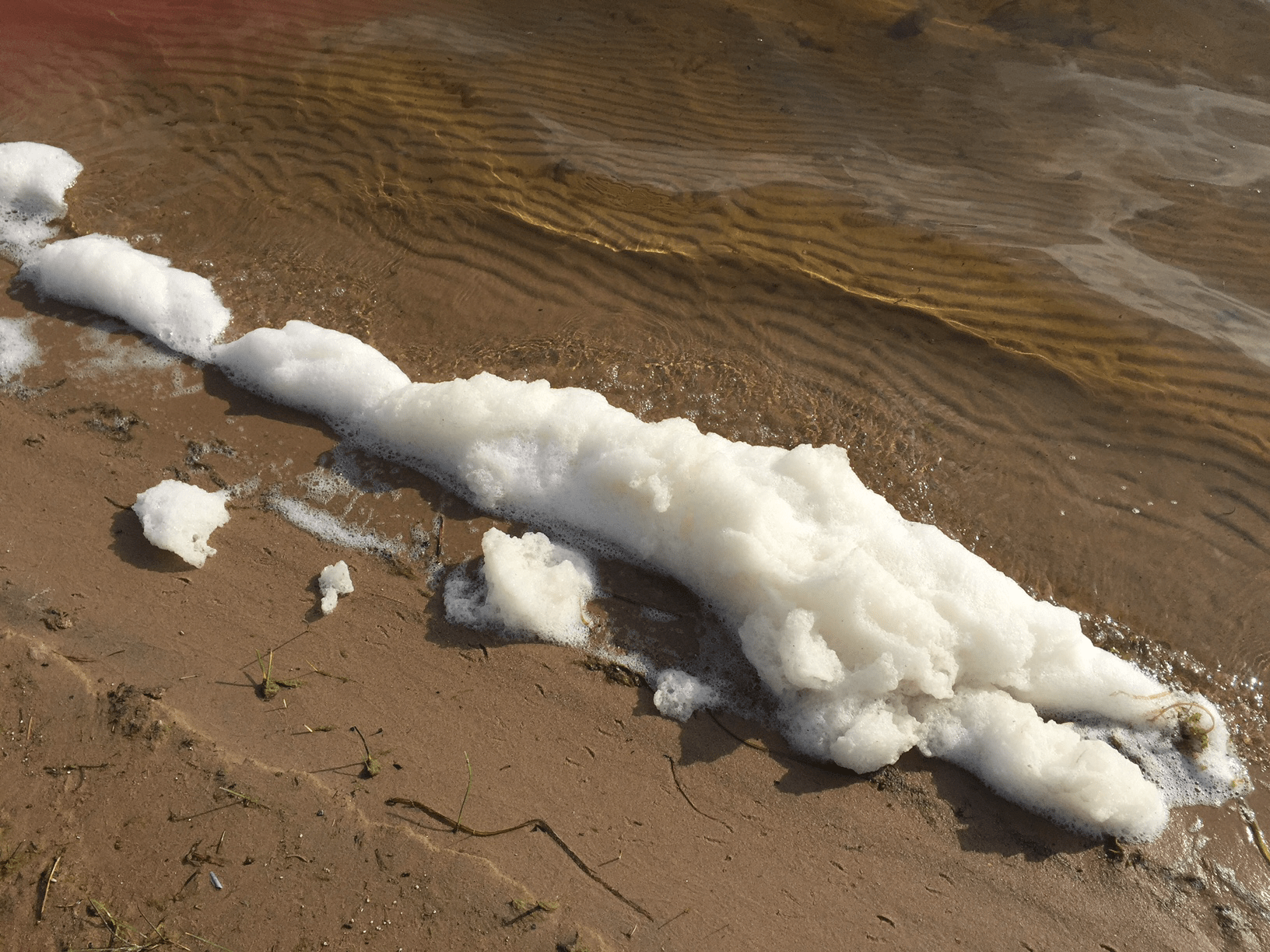 Thick white foam along the sandy shores of Van Etten Lake