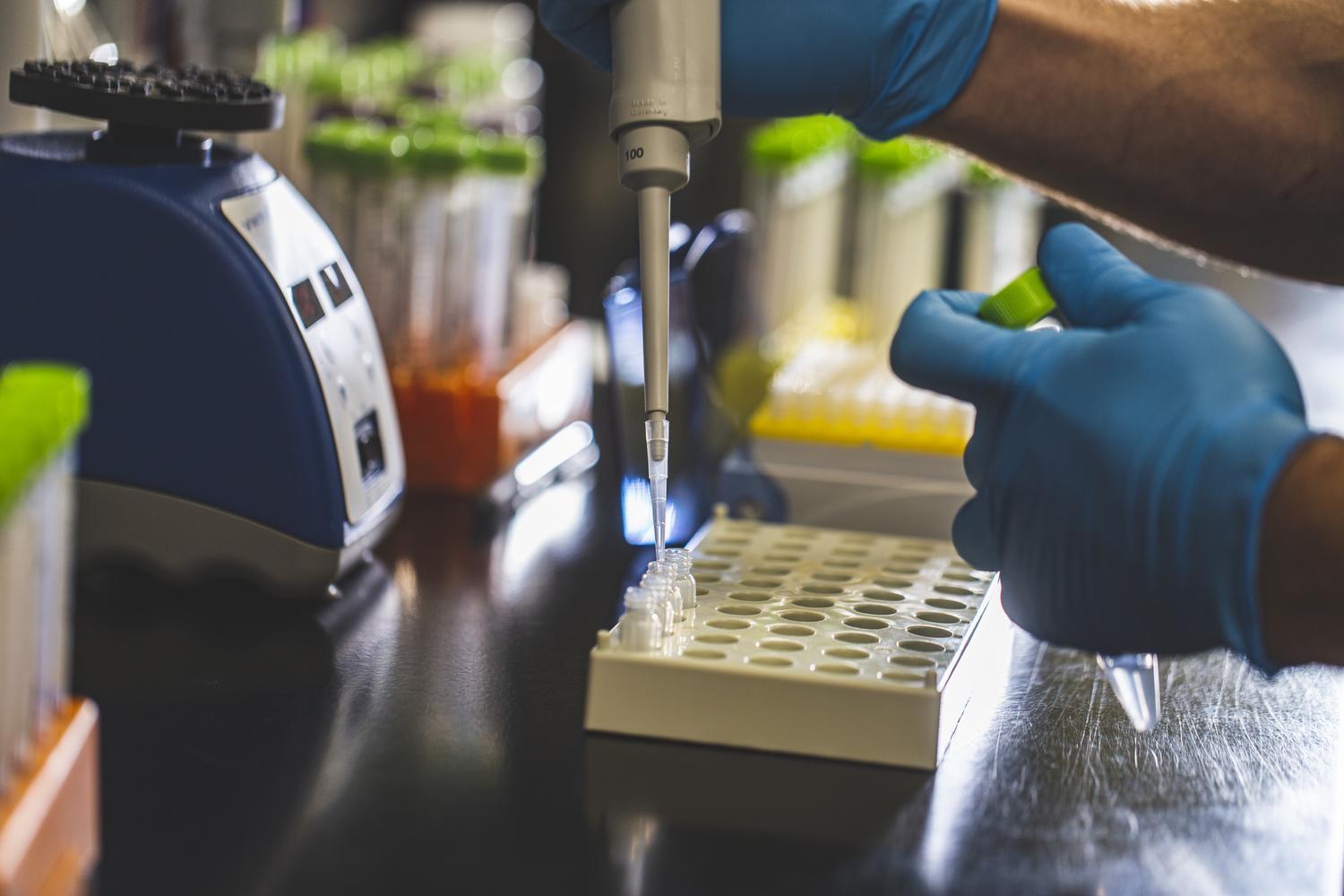 A closeup of a scientist in a lab wearing blue nitrile gloves and pipetting into a sample container