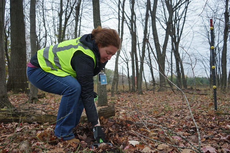 An EGLE (then DEQ) employee standing at the House Street Disposal Area in Belmont, Kent County, unearthing something unseen from the ground