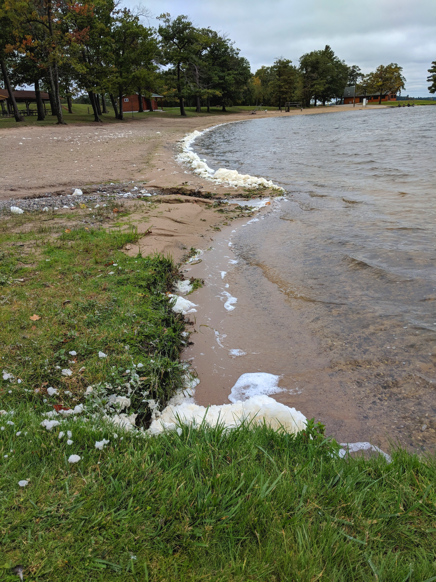 White foam appearing along the beach of Van Etten Lake in Ratliff Park