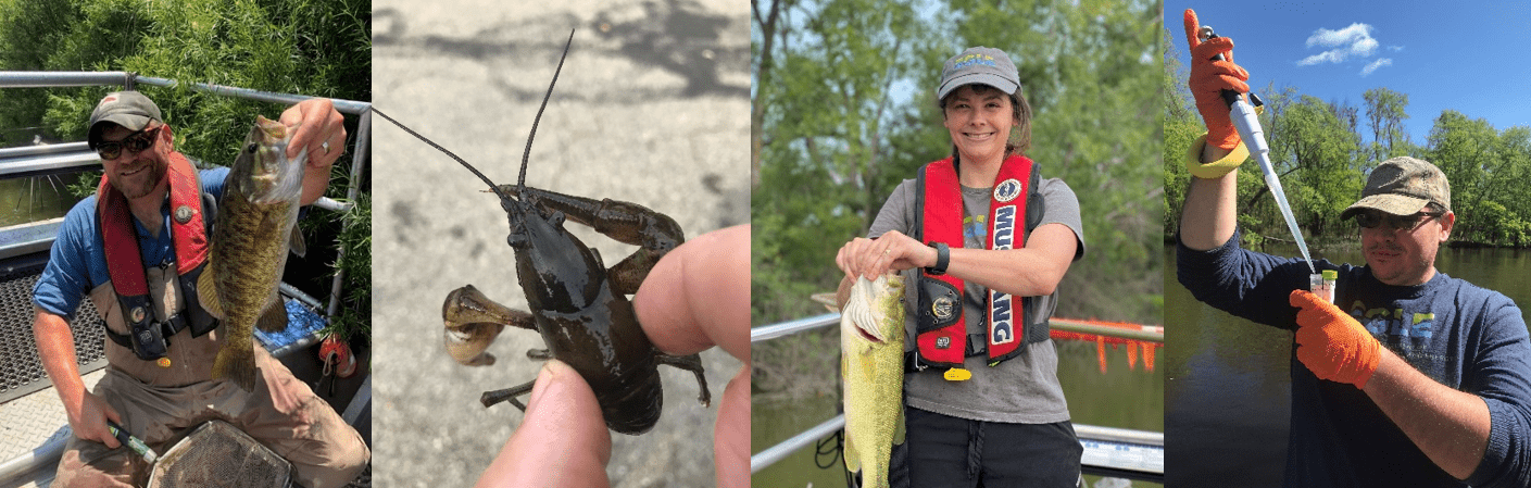 EGLE staff holding various parts of the fish sampling process