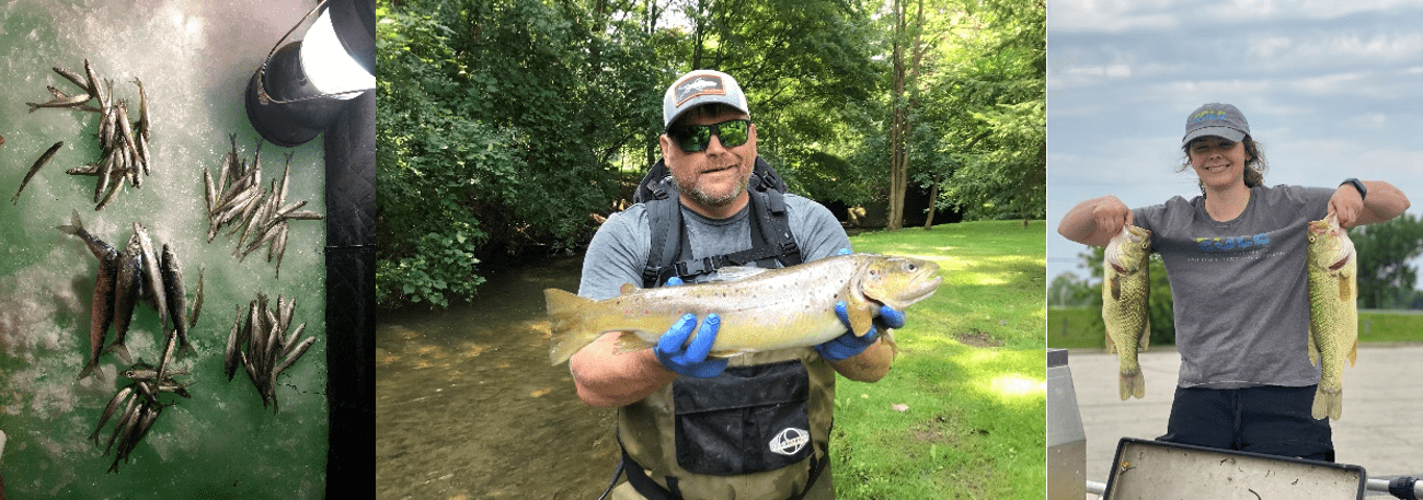 EGLE staff displaying fish from sampling