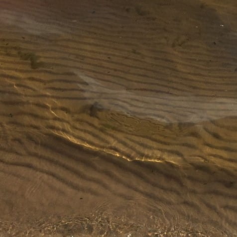 Sediment at the bottom of a lake