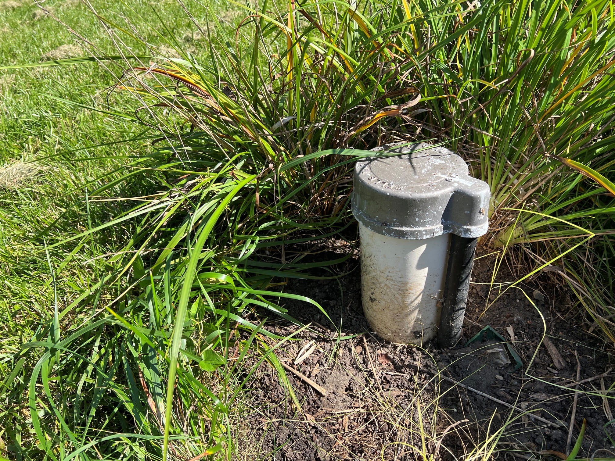 A wellhead to a private residential well nestled among ornamental grass