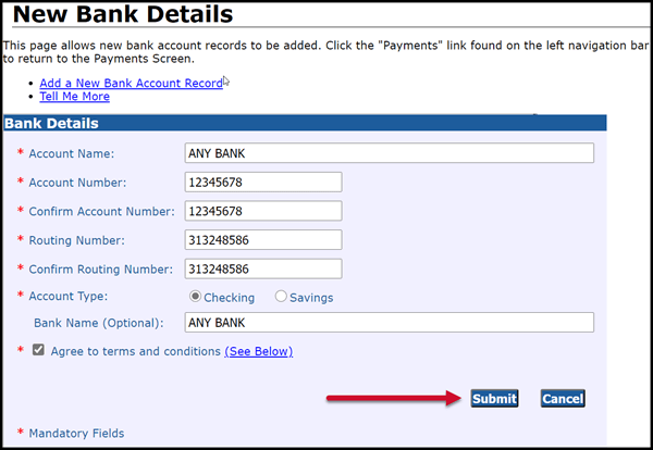 New Bank Details screenshot with example information filled in.