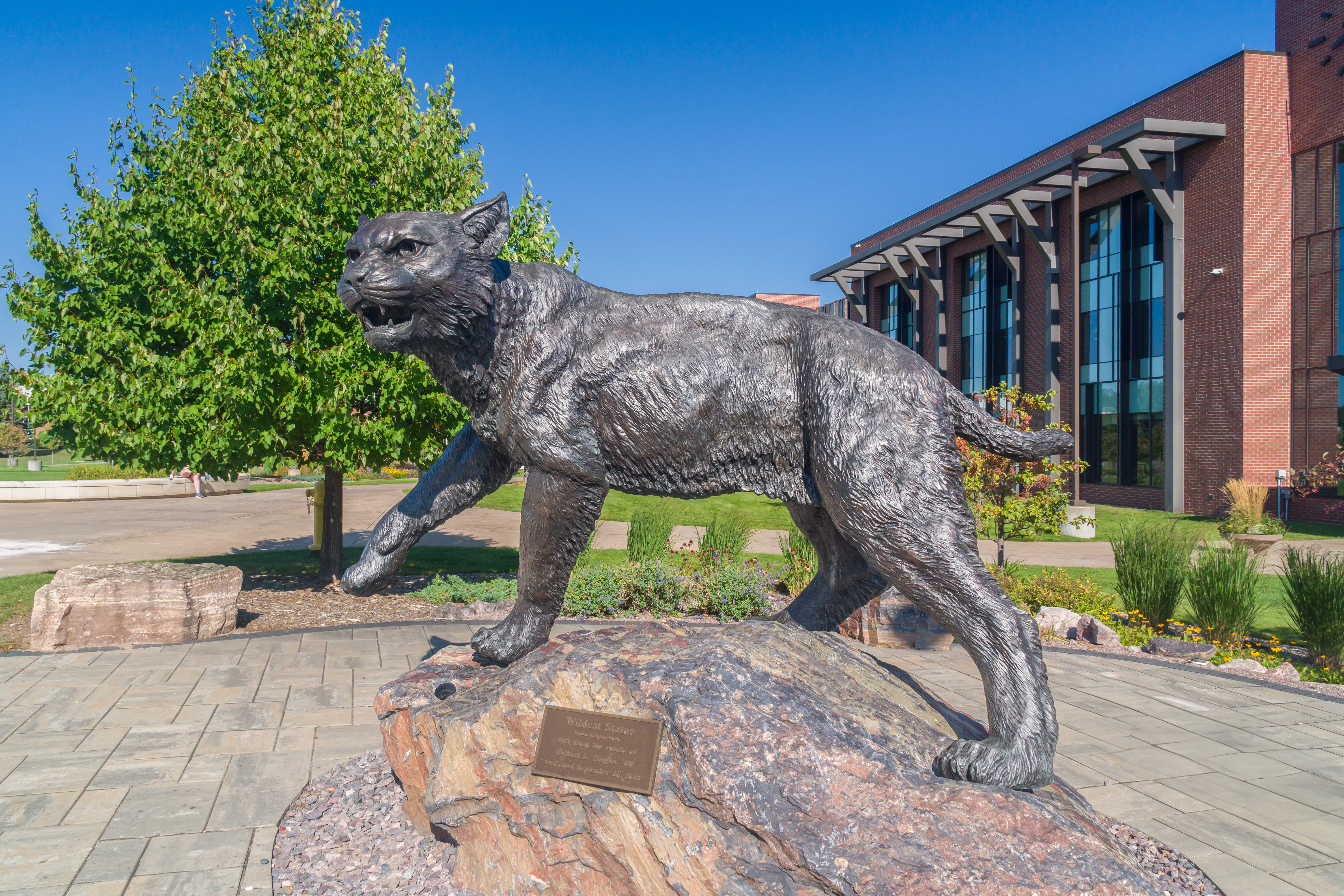 Wildcat statue on the campus of Northern Michigan University in Marquette, Michigan.