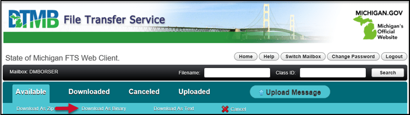 DTMB File Transfer Service with arrow pointing to Download as Binary