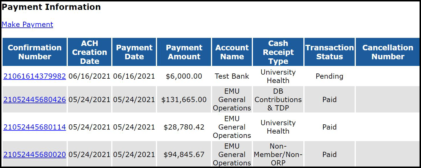 Screenshot of ESS Payment Information screen