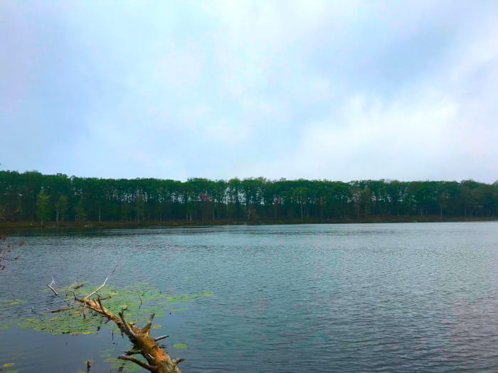Ambrose Lake