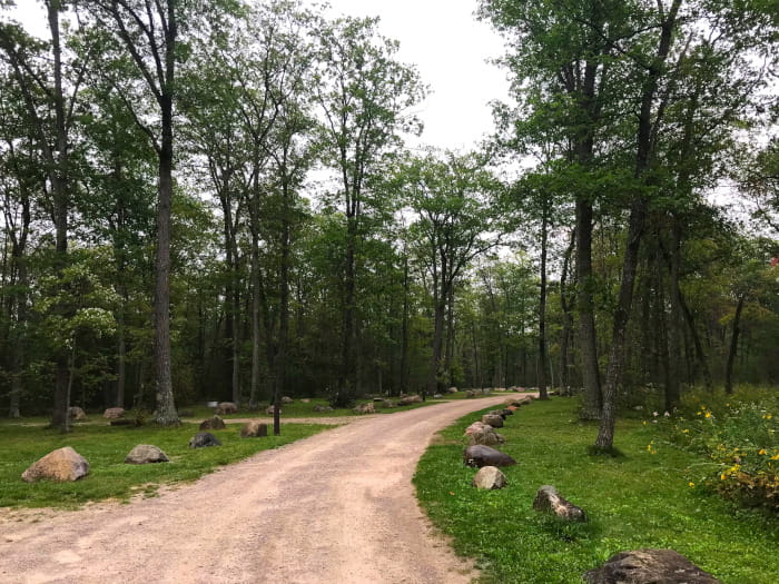 AmbroseLakeCampgroundRoad