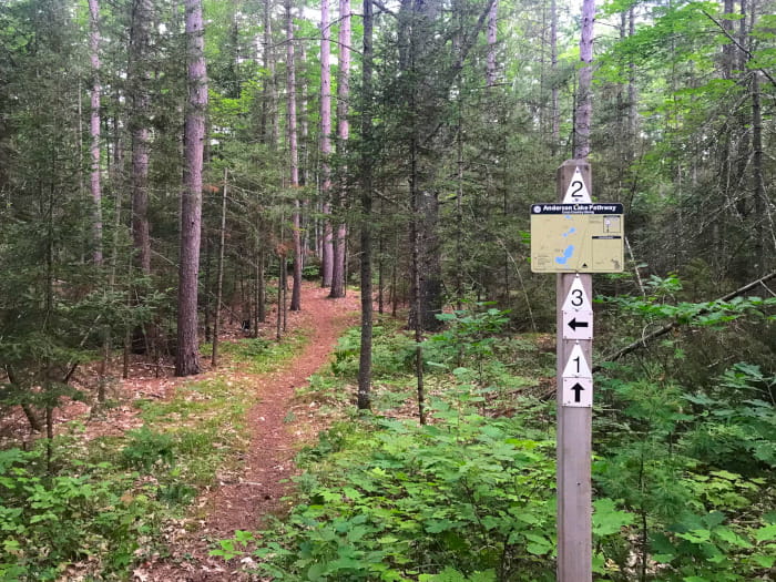AndersonLakePathway
