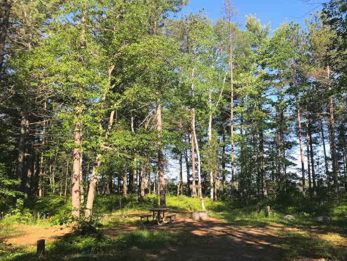 AndrusLakeCampsite