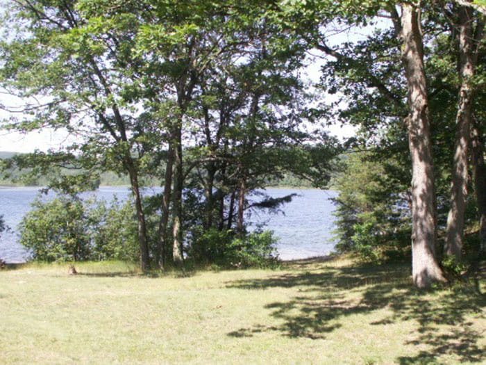 AveryLake lakeview