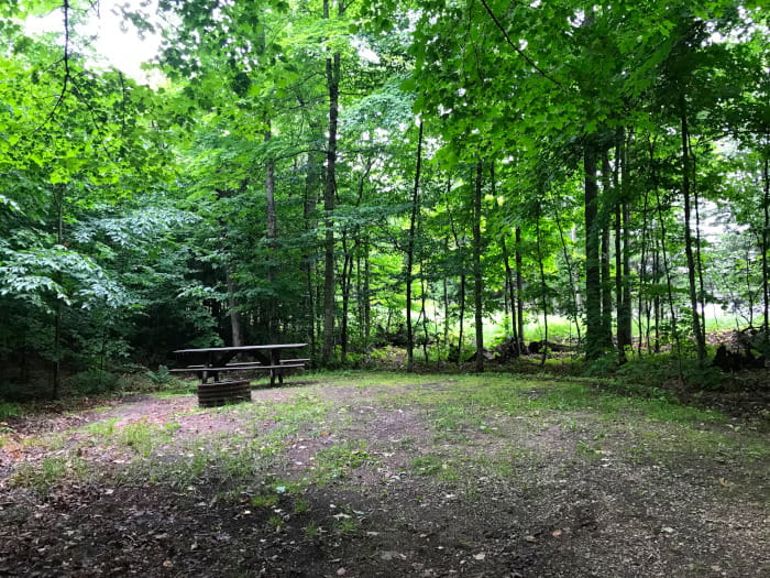 BassLakeCampsite