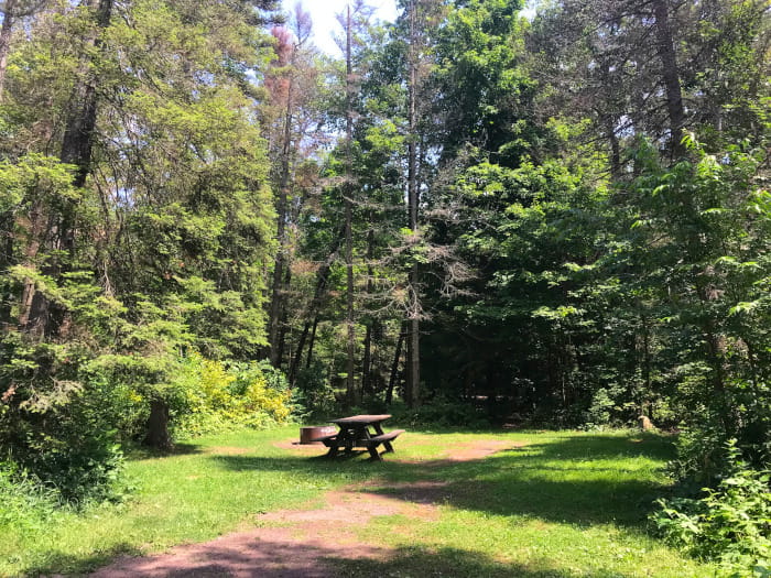 BassLakeCampsite2