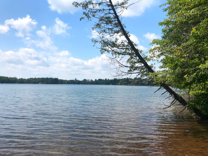 Bass Lake
