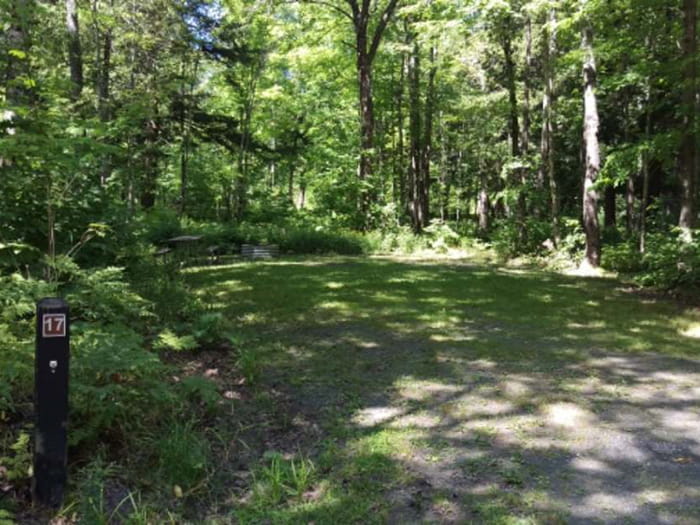 Big Erics Bridge Site 17