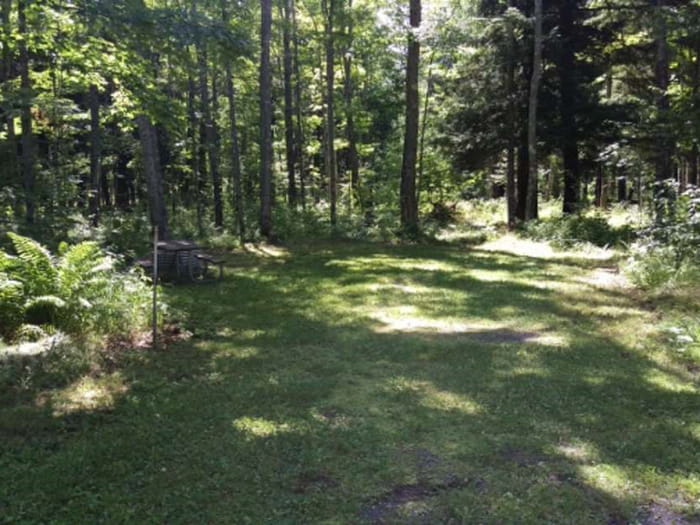 Big Erics Bridge Site