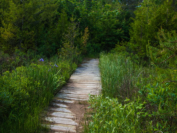 bigknob boardwalk