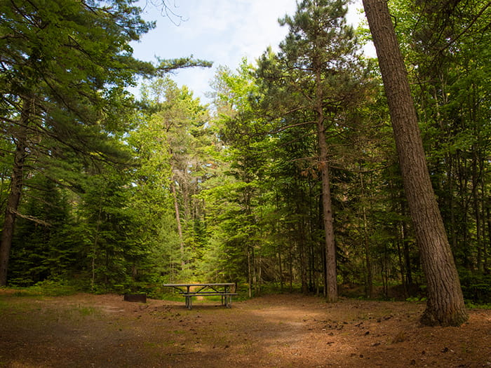 bigknob campsite