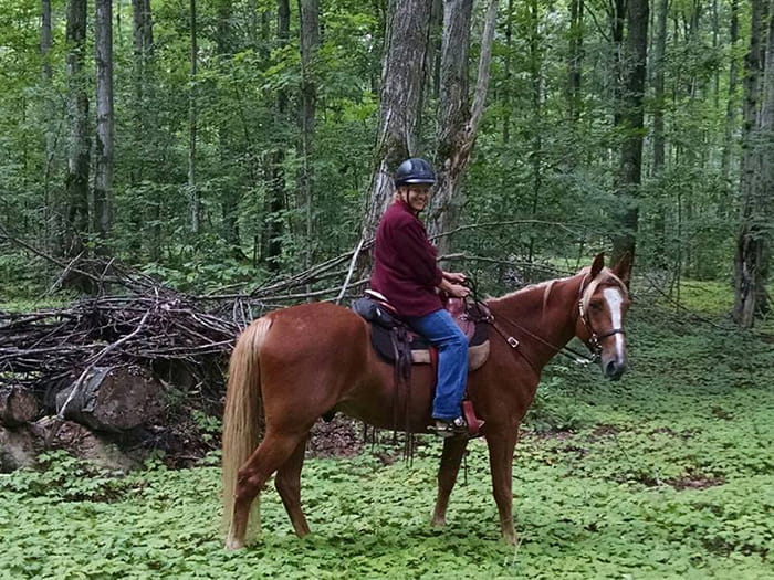 Big Oaks hitch equestrian rider