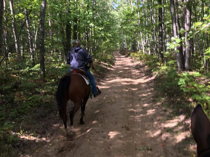 Big Oaks trail