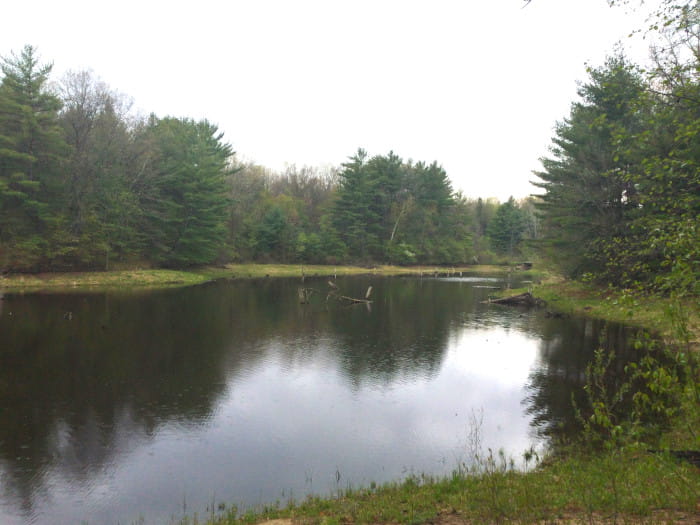 BlackCreek