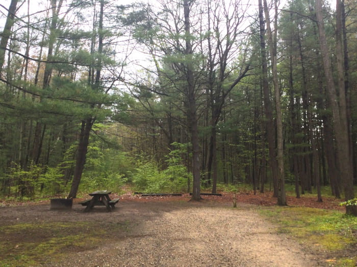BlackCreekCampsite2